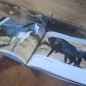Wild Horses of the West Book