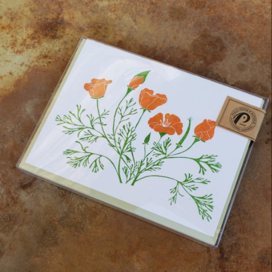 Boxed Stationary - Poppies